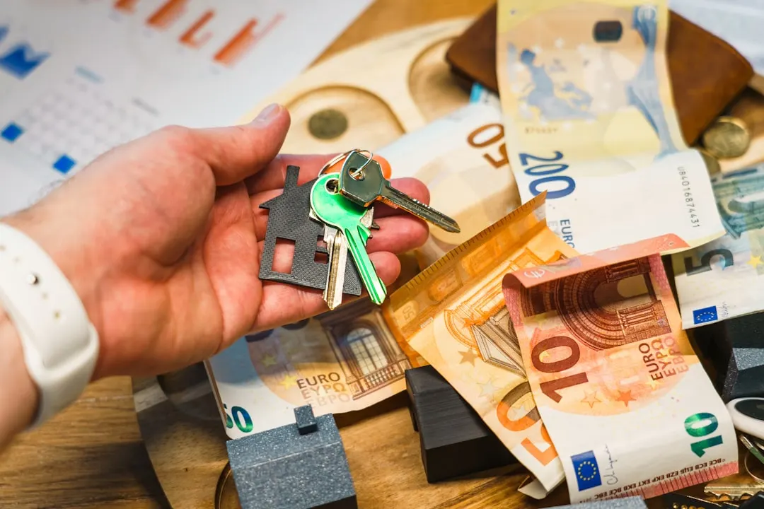 Ranka laiko raktus su euro banknotais fone